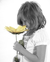 Tart burners can generate the smell of flowers.