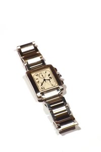 Stainless steel watches may eventually need some cleaninng.