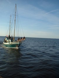 Sea captains may pilot enormous ocean liners or diminutive tugboats.