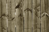 Sanding can remove sun-damaged fiber from the surface of cedar siding.