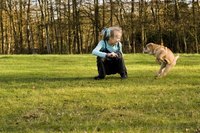 Teaching a puppy not to growl and bite helps it become a well-socialized adult.