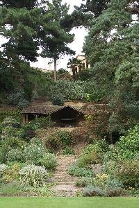 Grow a variety of plants in your sloped front yard.