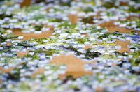 Turn your photo into a jigsaw puzzle.