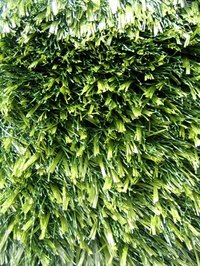 Artificial turf grass does not require any maintenance, but may leach toxic chemicals into the ground water.
