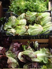 Fresh produce can be sold at a country store.