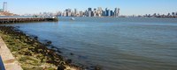 New York has plenty of options for studying.