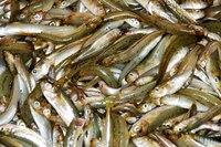Omega-3 is found naturally in fish.