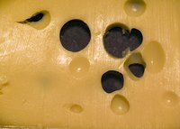 Gruyere cheese can be unpasteurized.