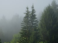 Create the fog effect with paints by choosing darker colors for the foreground figures.
