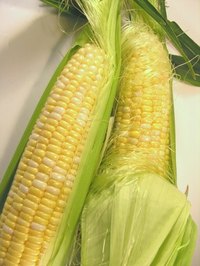 Corn is a staple of many diets as both a grain and a vegetable.