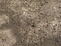 Sow grass seed or lay down hydroseed to create a vibrant green lawn.