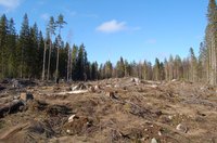 Logging contributes to soil degradation in the form of erosion.
