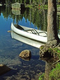 Mammoth Spring keeps river water running clear near Hardy, Arkansas.