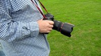 Each team needs a digital camera and a designated photographer.