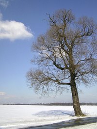 Cold winter weather constantly works a heat pump