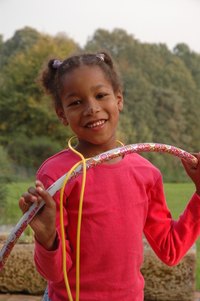 The BAEO has scholarships for African American children.