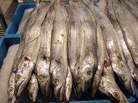 Fish are a staple of fasting meals during Ash Wednesday and Lent