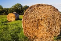 Hay bales that go uncovered in wet weather can experience nutrient loss.