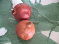 Utah Sweet pomegranate trees produce tasty pink fruit.