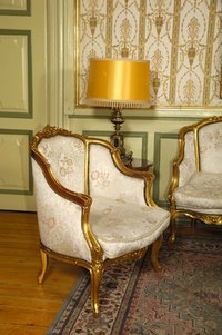 Remove common silk upholstery stains safely.