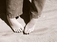 Many vegetables grow well in sand, particularly root vegetables.