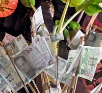 The Money tree doesn't really sprout bills; it's also known as the Malabar chestnut.