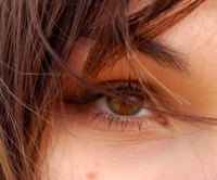 The retina's rods and cones are vital to sight.
