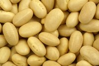 Cook dry white beans quickly in an oven.