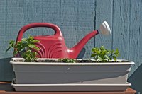 Recycled, rejuvenated potting soil will save you money as your garden grows.