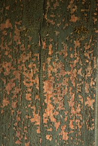 This is an example of what chemical paint stripper does to paint.