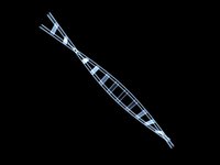 DNA strands can reveal important genetic information about an individual.