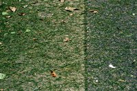 Riding mowers are designed for cutting large areas of grass.