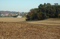 Fertilizer byproducts can accumulate in soil and groundwater supplies.