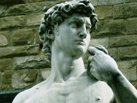 Michelangelo's David is made of white marble.