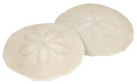 Sand dollars provide a canvas for various displays and crafts.