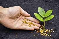 Plant-tone fertilizer is billed as being generally safe for animals, including dogs.