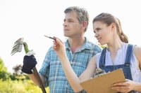 A landscape business owner gives direction to an employee.