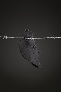 You don't need to run into barbed wire to tatter your dress.