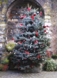A pot proportional to the Christmas tree's size helps anchor the tree.