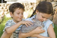 Children with a pet rabbit.