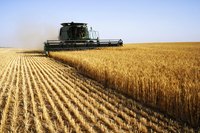 Investing in agricultural products can help diversify your portfolio.