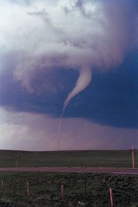 A storm cellar can keep you alive during a tornado.