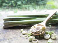 A spoonful of sliced lemongrass on an outdoor table.