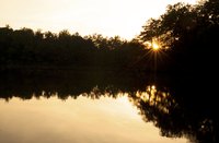 Lake Norman has 520 miles of shoreline.