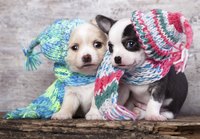 Is your hand-knit hat too small? No problem -- you can block it into shape.