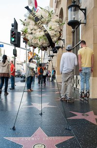 Flowers adorn the Everly Brothers' star on the Hollywood Walk of Fame to honor the late Phil Everly in January 2014.