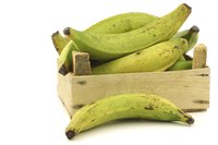 Matoke is a South African dish made with plantains.