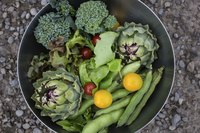 A variety of freshly picked vegetables in a garden.