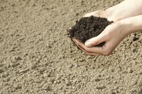 Handful of soil