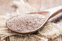 A wooden spoon full of psyllium husks fiber.
